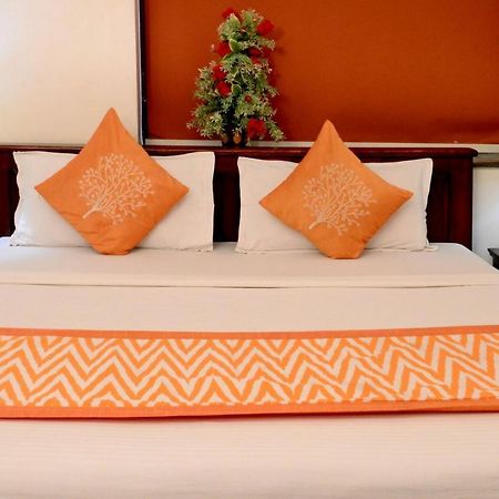 Shree Mohan Home Stay- A Heritage Home 焦特布尔 外观 照片